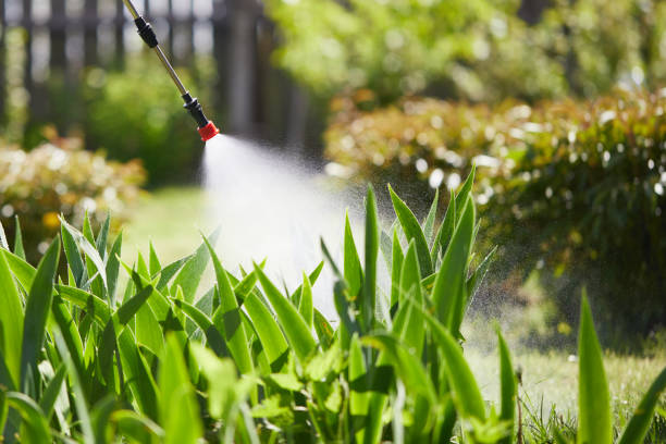 Tamper-Resistant Bait Stations for Rodents in Spring Park