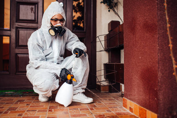 Attic and Crawl Space Rodent Treatment in Spring Park